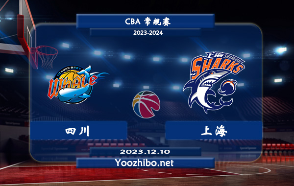 12月10日 CBA常规赛 四川vs上海直播前瞻分析