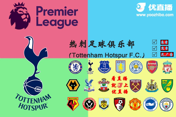 2019-20赛季<a href=/zuqiugaoqing/hotspur/ target=_blank class=infotextkey>热刺</a>阵容名单一览