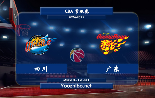 12月01日 CBA常规赛 四川vs广东直播前瞻分析