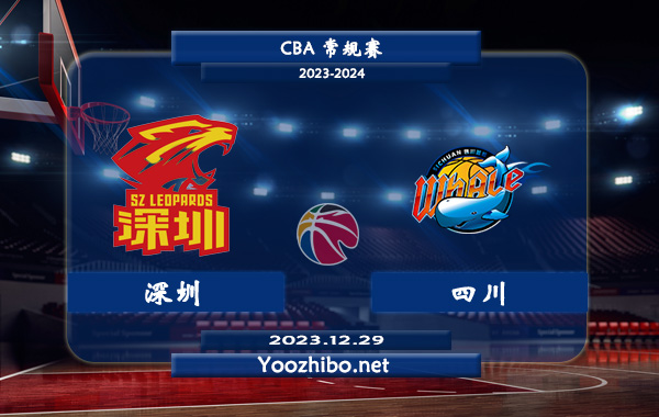 12月29日 CBA常规赛 深圳vs四川直播前瞻分析