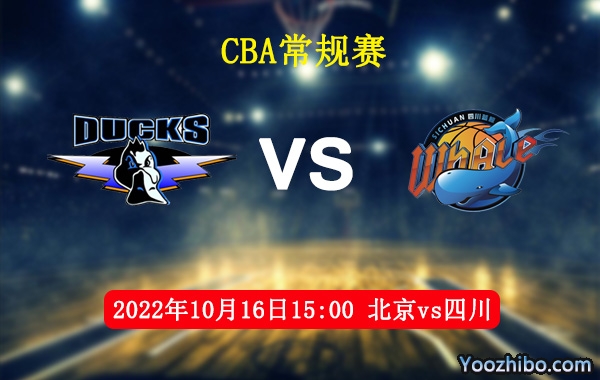 10月16日 CBA常规赛 北京vs四川直播前瞻分析