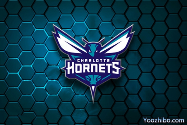 2019-2020赛季<a href=/lanqiugaoqing/hornets/ target=_blank class=infotextkey>黄蜂</a>队队徽